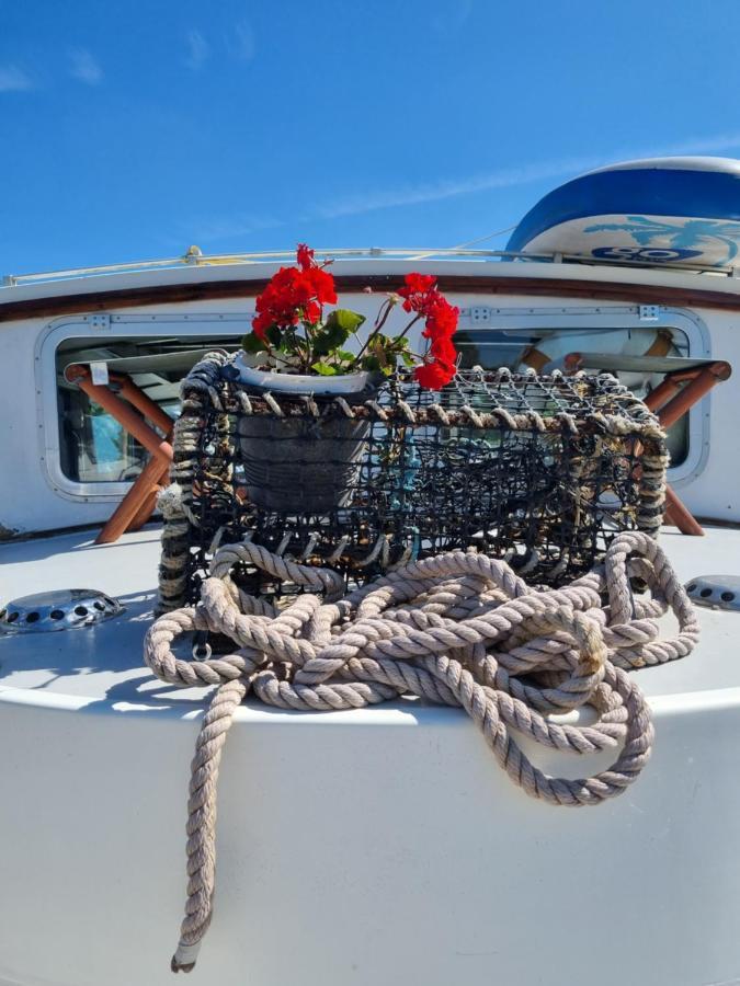 Traditional Boat Hotell Thorpe  Eksteriør bilde